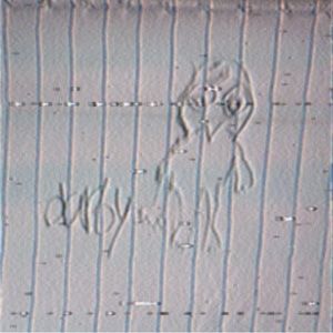 Meet your Posher, Evan